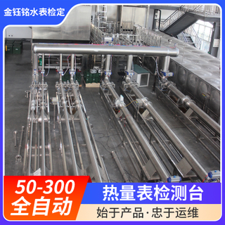 DN50-D300全自動(dòng)水表（熱量表）耐久性實(shí)驗(yàn)裝置（水平式）